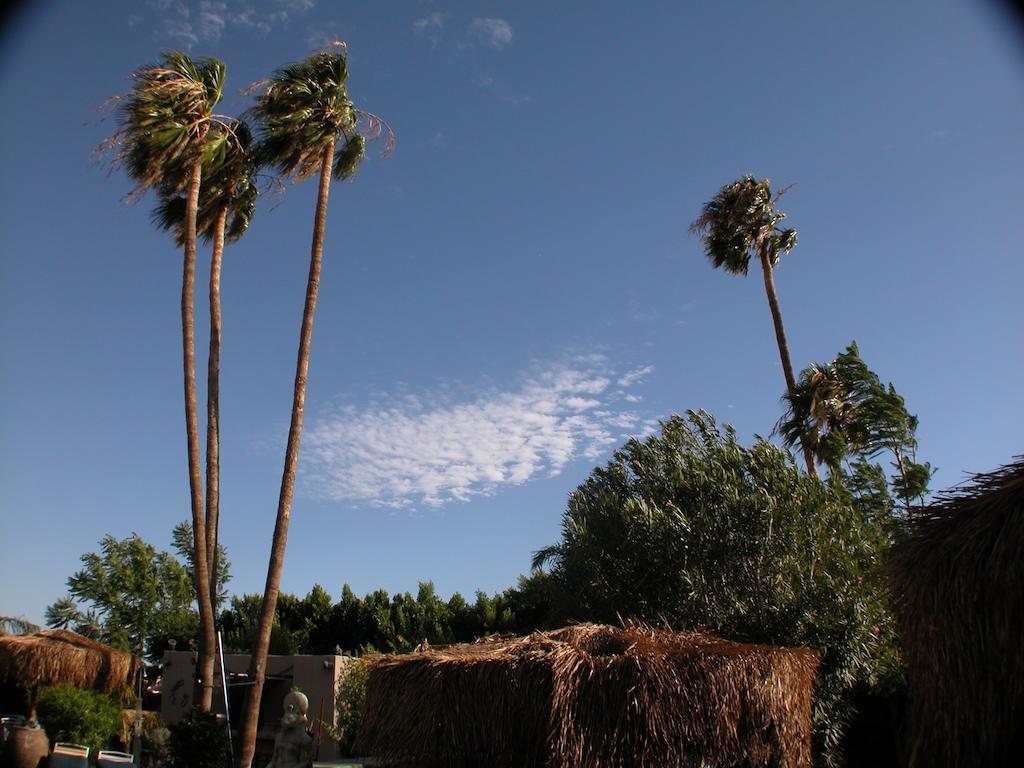 Sea Mountain Nude Resort & Spa Hotel - Adults Only Desert Hot Springs Exterior photo